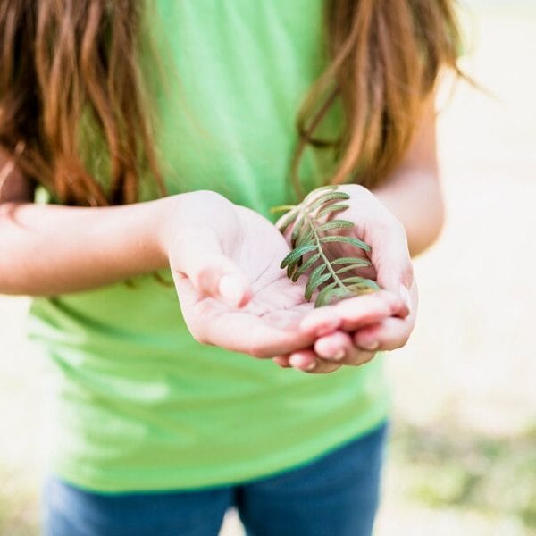 close-up-girl-green-t-shirt-holding-twig-hands_23-2148163893-e1731677734227.jpg